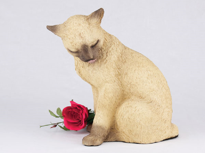 Photo of Siamese Cat  Urn