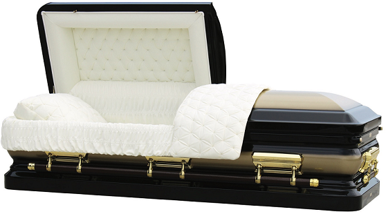 Casket: ROYALE GOLD & BLACK with Brush Steel Casket